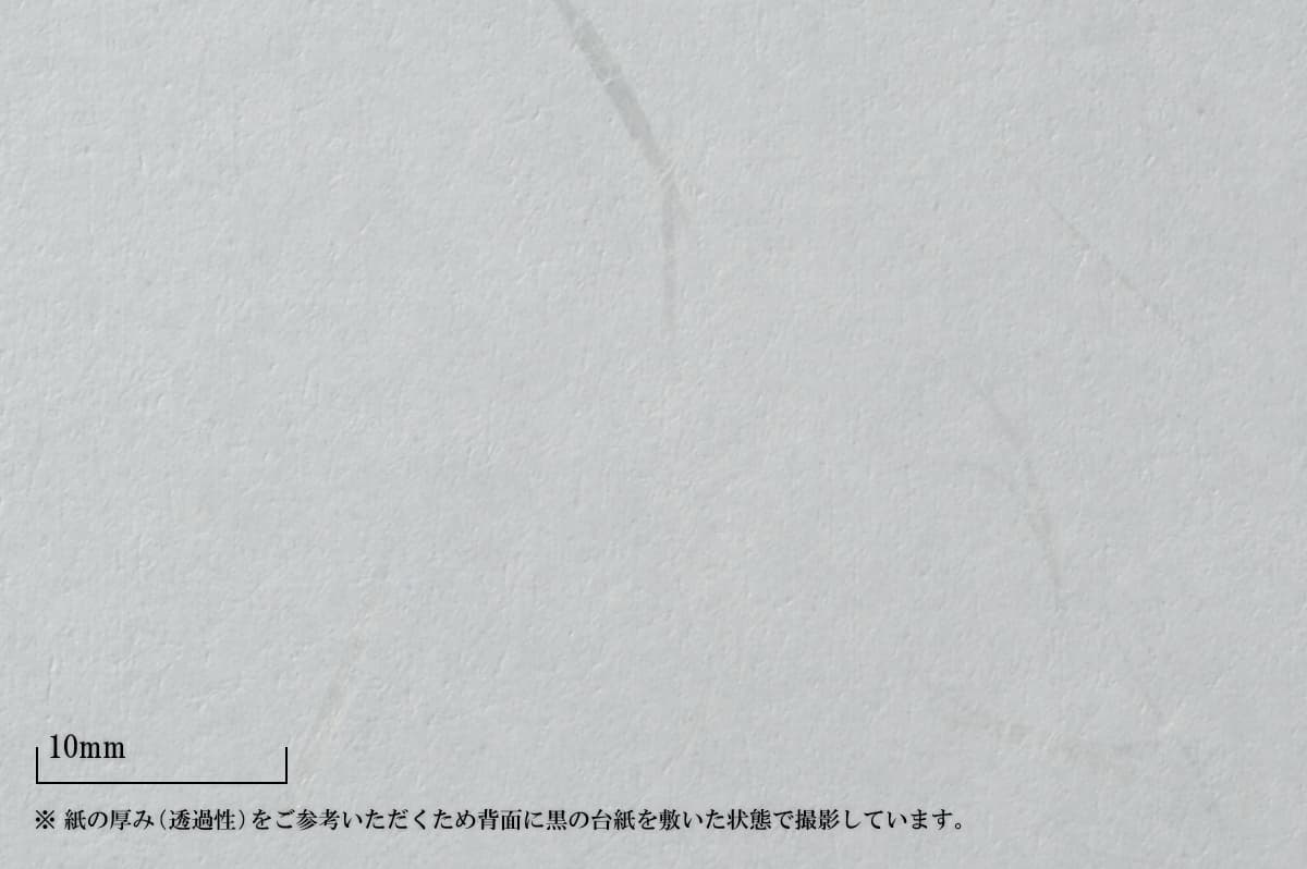 インクジェット白柳 シロ